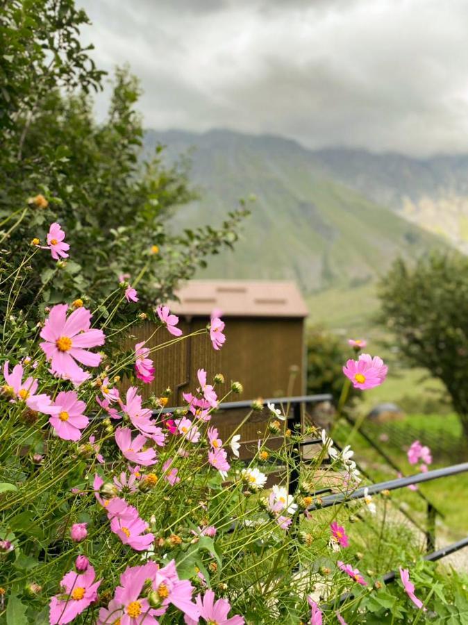 My Space Kazbegi Bagian luar foto